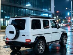 Mercedes-Benz G-Class G 350 - photo 2