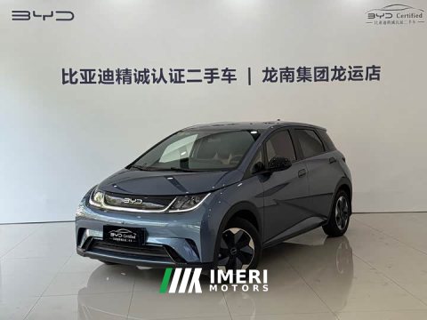 2025 BYD Dolphin 420km Freedom Edition - ავტომობილი ჩინეთიდან