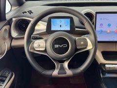 BYD Dolphin 420km Freedom Edition - ფოტო 16