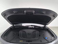 FAW Red Flag E-HS9 510km Range Flagship Edition Six-Seater - ფოტო 6