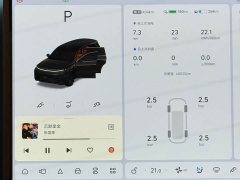 Li Auto L9 Max - ფოტო 8