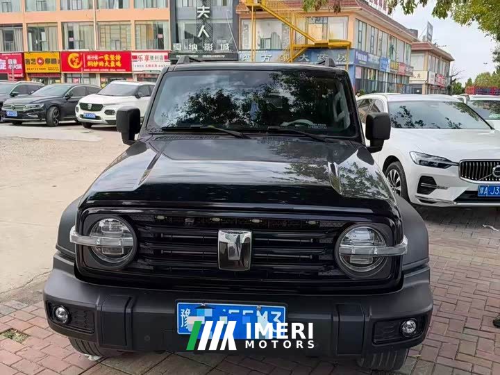 Tank 300 2.0T Conqueror - ავტომობილი ჩინეთიდან