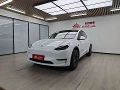 Tesla Model Y Long Range All-Wheel Drive - ფოტო 1