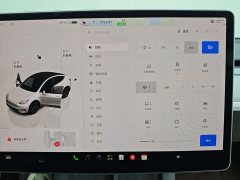 Tesla Model Y Long Range All-Wheel Drive - ფოტო 19