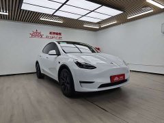 Tesla Model Y Long Range All-Wheel Drive - ფოტო 2