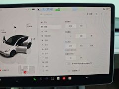 Tesla Model Y Long Range All-Wheel Drive - ფოტო 20