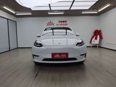 Tesla Model Y Long Range All-Wheel Drive - ფოტო 3