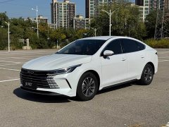 BYD Destroyer 05 Glory Edition DM-i 55KM Luxury - ფოტო 1