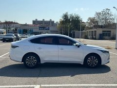 BYD Destroyer 05 Glory Edition DM-i 55KM Luxury - ფოტო 9
