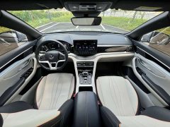 BYD Song Plus New Energy EV Premium - ფოტო 17