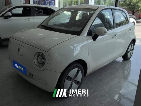 2021 ORA Black Cat 301km Base - ავტომობილი ჩინეთიდან
