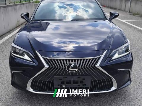 2021 Lexus ES 200 Excellence Edition - car from China