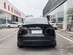 Tesla Model Y Rear-Wheel Drive - ფოტო 11