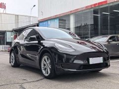 Tesla Model Y Rear-Wheel Drive - ფოტო 3
