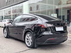 Tesla Model Y Rear-Wheel Drive - ფოტო 9