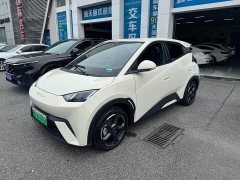 BYD Seagull Flying Edition - ფოტო 2