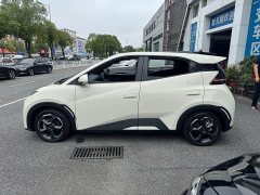 BYD Seagull Flying Edition - ფოტო 3