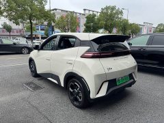 BYD Seagull Flying Edition - ფოტო 6