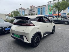 BYD Seagull Flying Edition - ფოტო 8