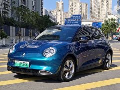 ORA Good Cat 400km Standard Range Athena Edition LFP Battery - ფოტო 1