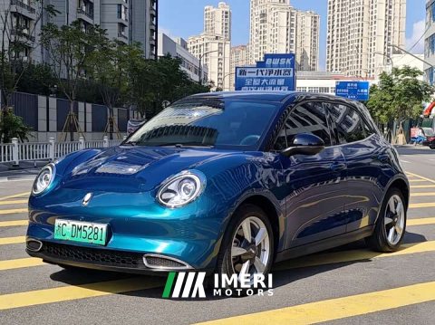 2022 ORA Good Cat 2021 400km Standard Range Athena Edition LFP Battery - ავტომობილი ჩინეთიდან