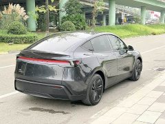 Tesla Model Y Rear-Wheel Drive - фото 10