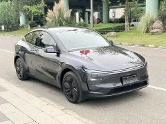 Tesla Model Y Rear-Wheel Drive - фото 3