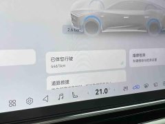 Toyota Platinum Wisdom 7 600 Pro - ფოტო 13