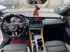 SAIC MG6 Pro 1.5T Automatic Trophy Luxury Edition - ფოტო 4