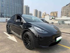 Tesla Model Y Rear-Wheel Drive - ფოტო 2
