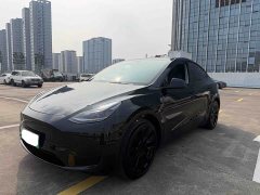 Tesla Model Y Rear-Wheel Drive - ფოტო 3
