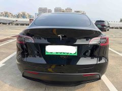Tesla Model Y Rear-Wheel Drive - ფოტო 7