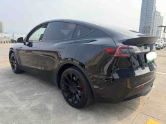 Tesla Model Y Rear-Wheel Drive - ფოტო 8
