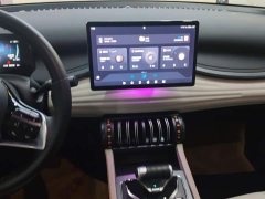 BYD Yuan Plus Glory Edition 510KM Transcend - ფოტო 13