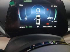 BYD Yuan Plus Glory Edition 510KM Transcend - ფოტო 14