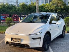 Tesla Model Y Long Range Rear-Wheel Drive - ფოტო 1