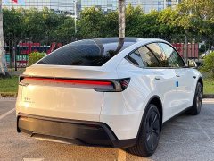 Tesla Model Y Long Range Rear-Wheel Drive - ფოტო 10