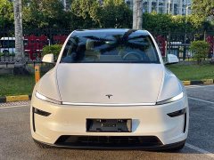 Tesla Model Y Long Range Rear-Wheel Drive - ფოტო 2