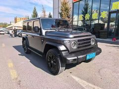 Mercedes-Benz Explorer 2.0T Adventure Edition - ფოტო 1