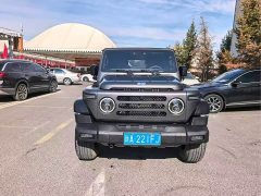 Mercedes-Benz Explorer 2.0T Adventure Edition - ფოტო 2