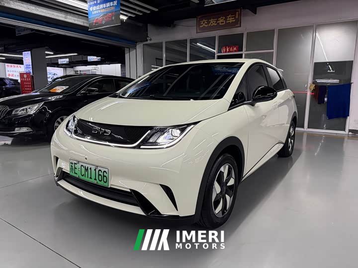 BYD Dolphin 420km Freedom Edition - ავტომობილი ჩინეთიდან