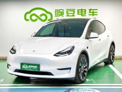 Tesla Model Y Performance - ფოტო 1