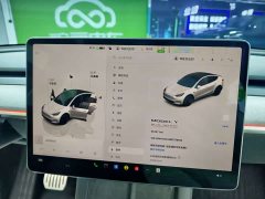 Tesla Model Y Performance - ფოტო 14