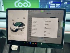 Tesla Model Y Performance - ფოტო 15