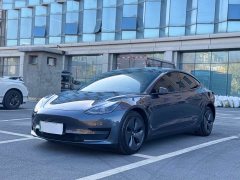 Tesla Model 3 Standard Range RWD Upgrade 3D6 - ფოტო 1