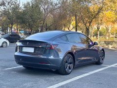 Tesla Model 3 Standard Range RWD Upgrade 3D6 - ფოტო 12