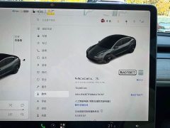 Tesla Model 3 Standard Range RWD Upgrade 3D6 - ფოტო 16