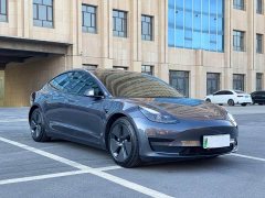Tesla Model 3 Standard Range RWD Upgrade 3D6 - ფოტო 3