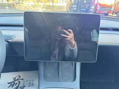 Tesla Model 3 Standard Range RWD Upgrade 3D6 - ფოტო 7