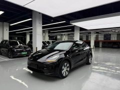 Tesla Model Y Facelift Long Range All-Wheel Drive - ფოტო 1